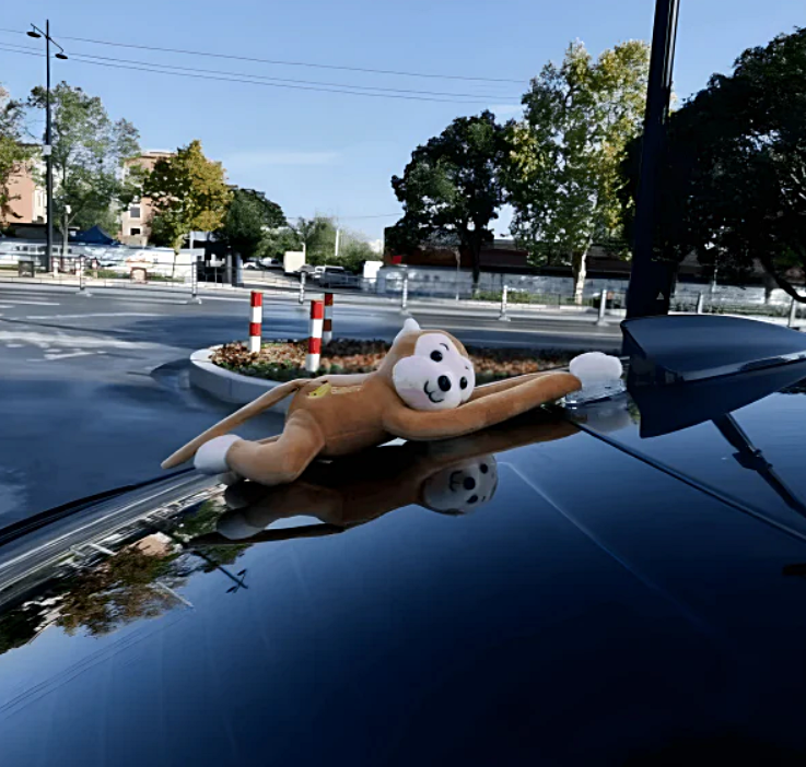 Car Monkey Decoration